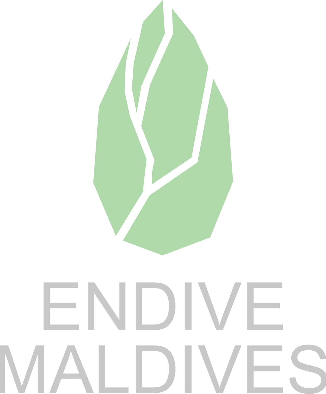 Endive Maldives Logo